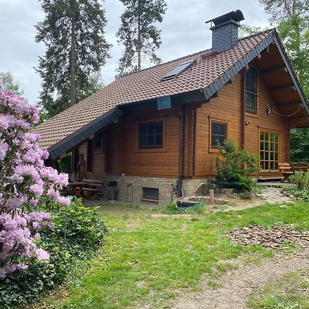 Waldhaus Eichhoernchen Bad Schmiedeberg Dış mekan fotoğraf