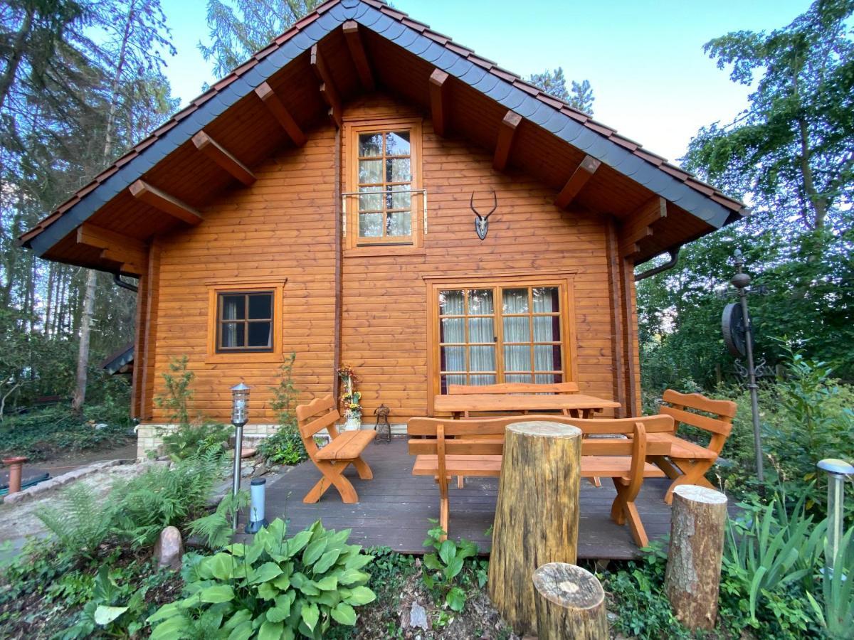 Waldhaus Eichhoernchen Bad Schmiedeberg Dış mekan fotoğraf