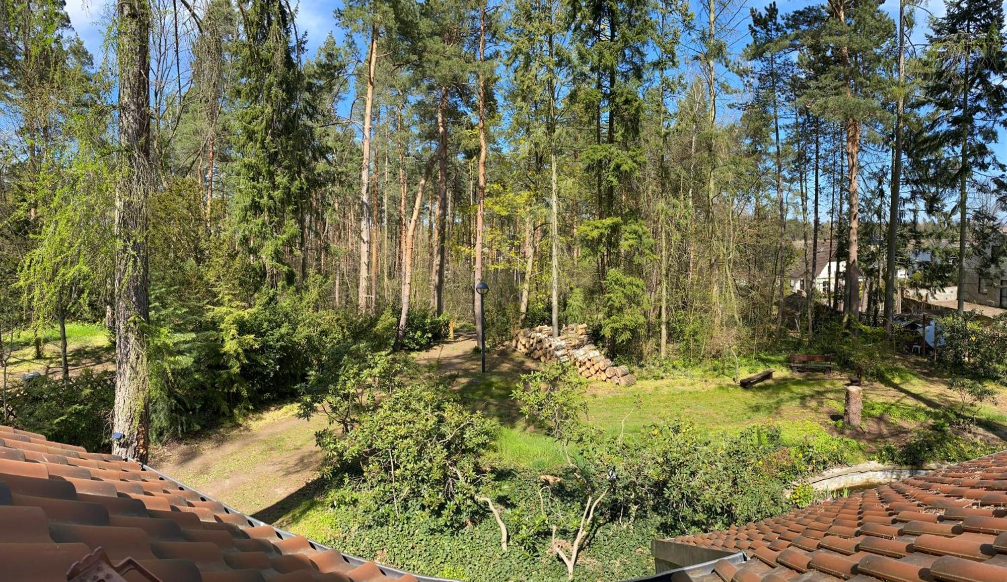 Waldhaus Eichhoernchen Bad Schmiedeberg Dış mekan fotoğraf