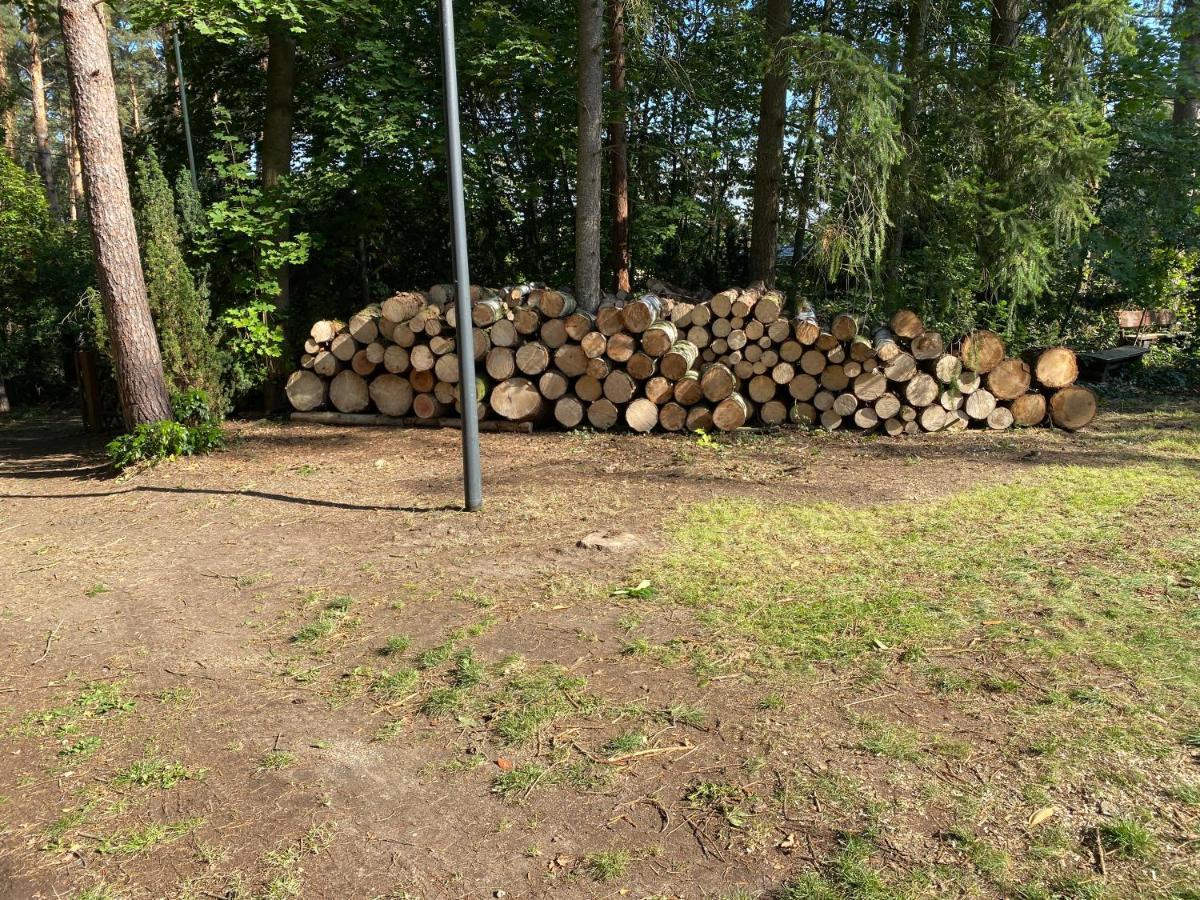 Waldhaus Eichhoernchen Bad Schmiedeberg Dış mekan fotoğraf