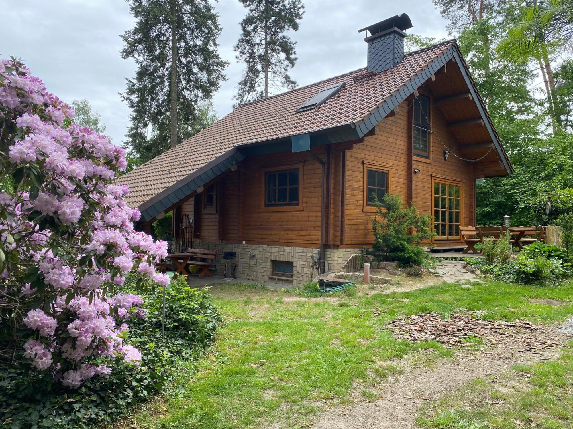 Waldhaus Eichhoernchen Bad Schmiedeberg Dış mekan fotoğraf